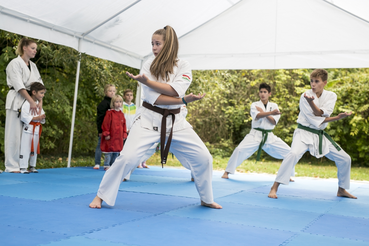 Budaokarate2 2020kicsi.jpg